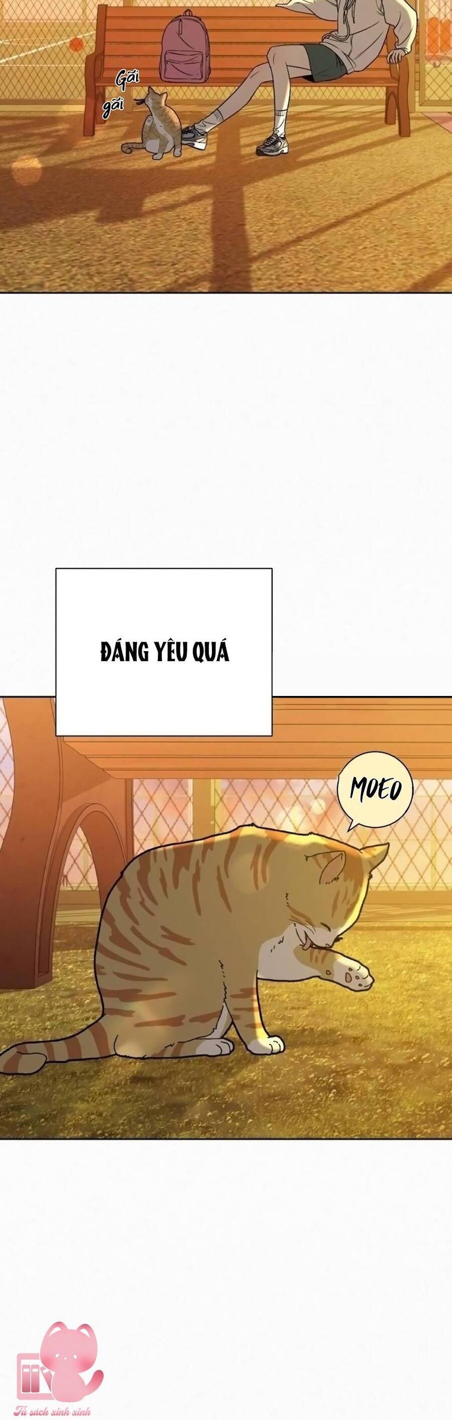 Tình Yêu Trong Sáng Chapter 99 - Trang 18